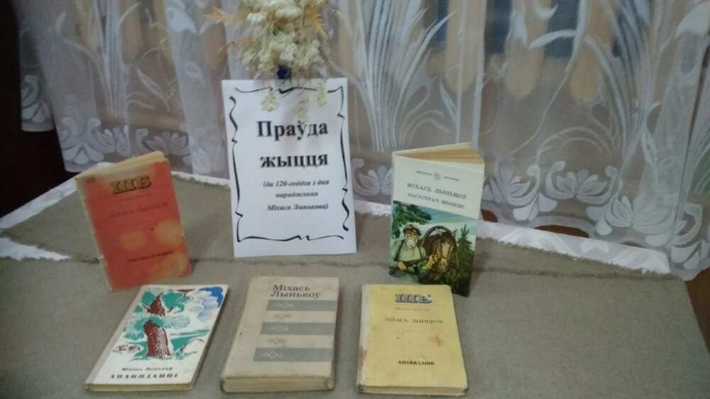 выстава літаратуры ў дворнаўскай бібліятэцы