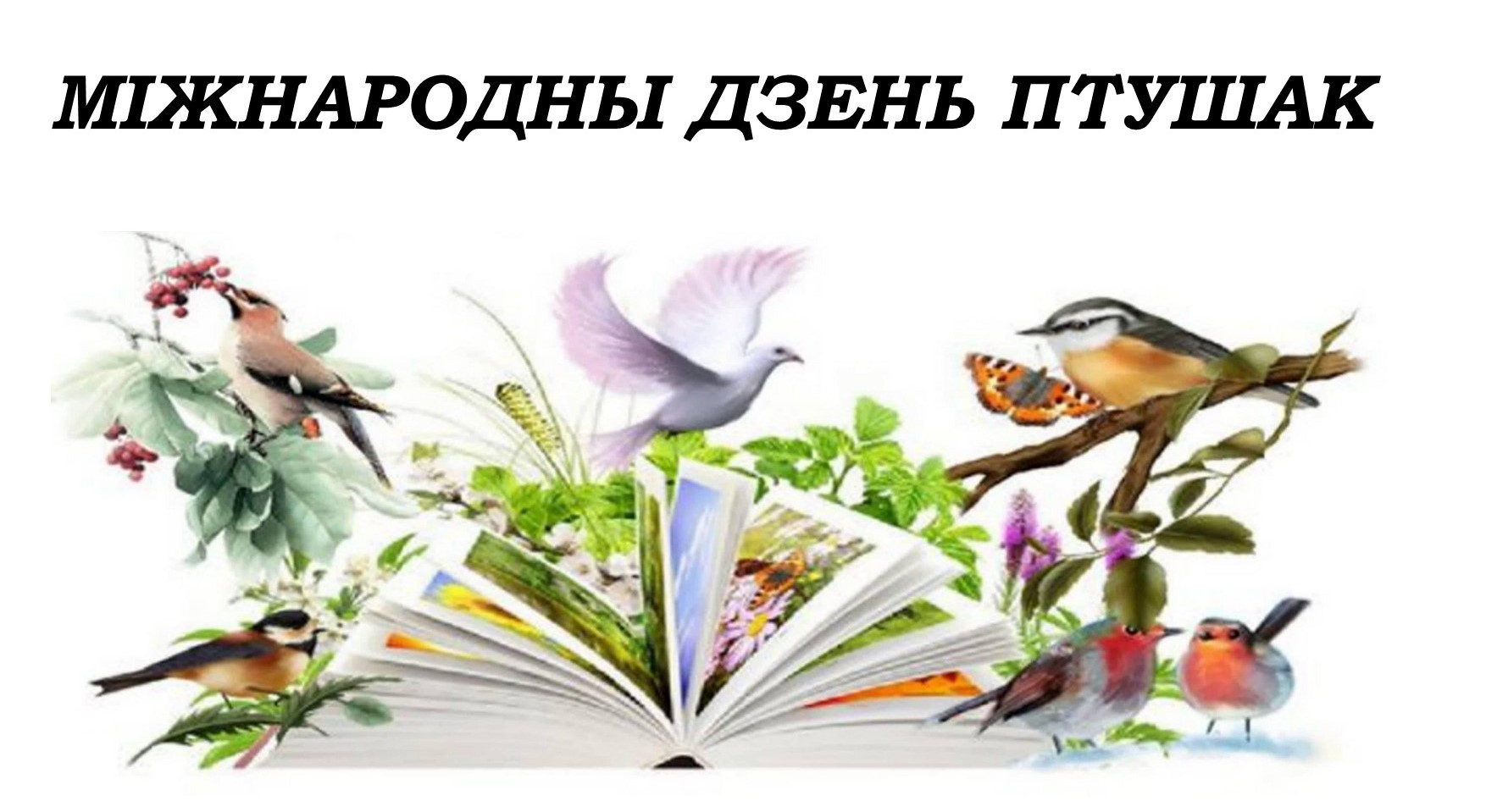дзень птушак