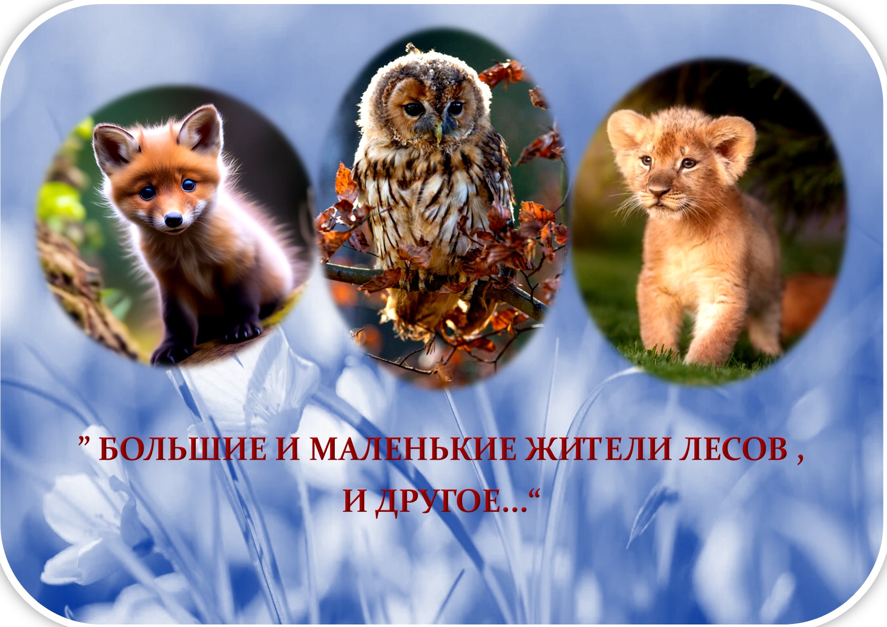 ЗАСТАВКА27