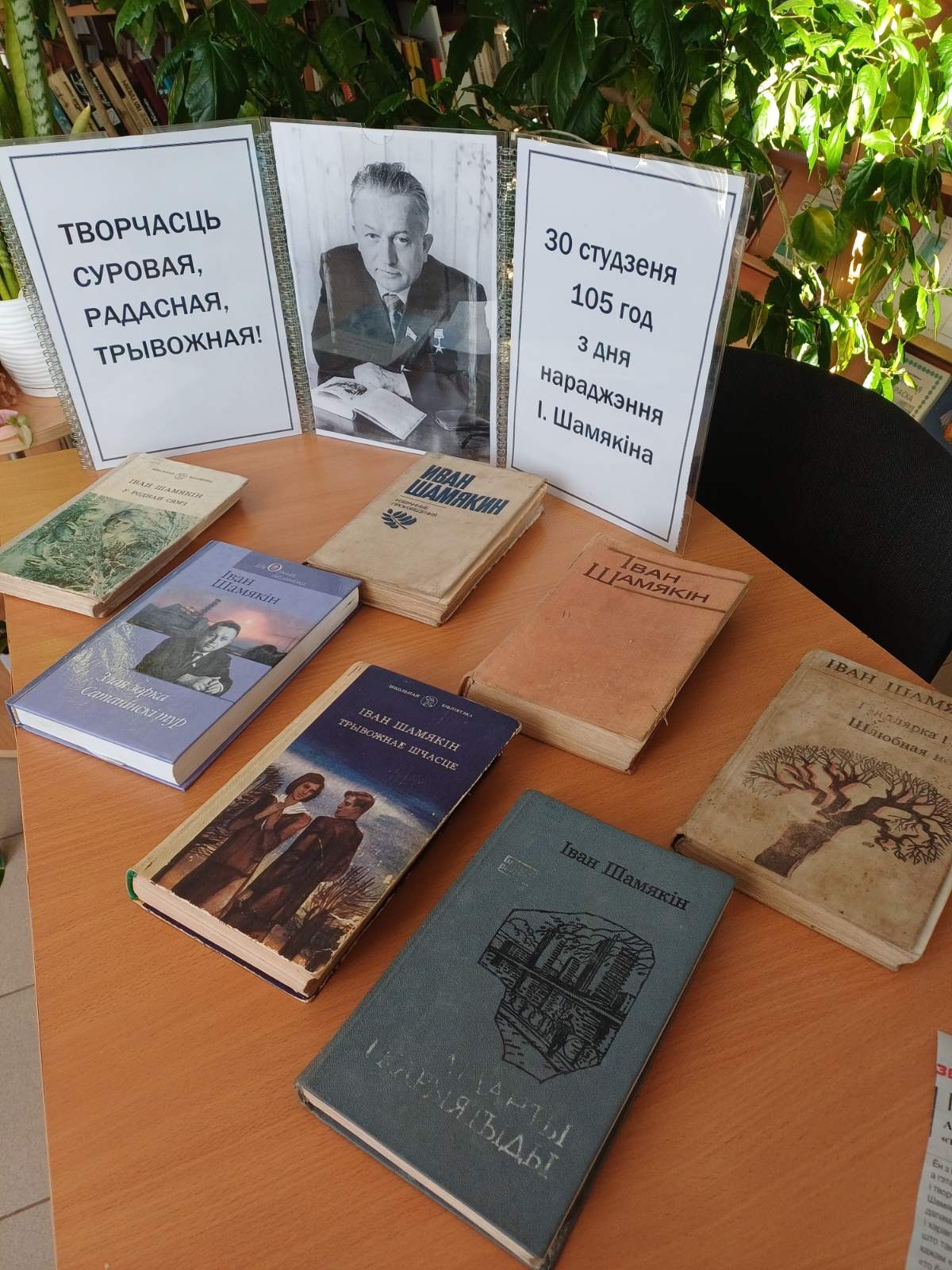 Выстава ў Буеўшчынскай бібліятэцы клубе