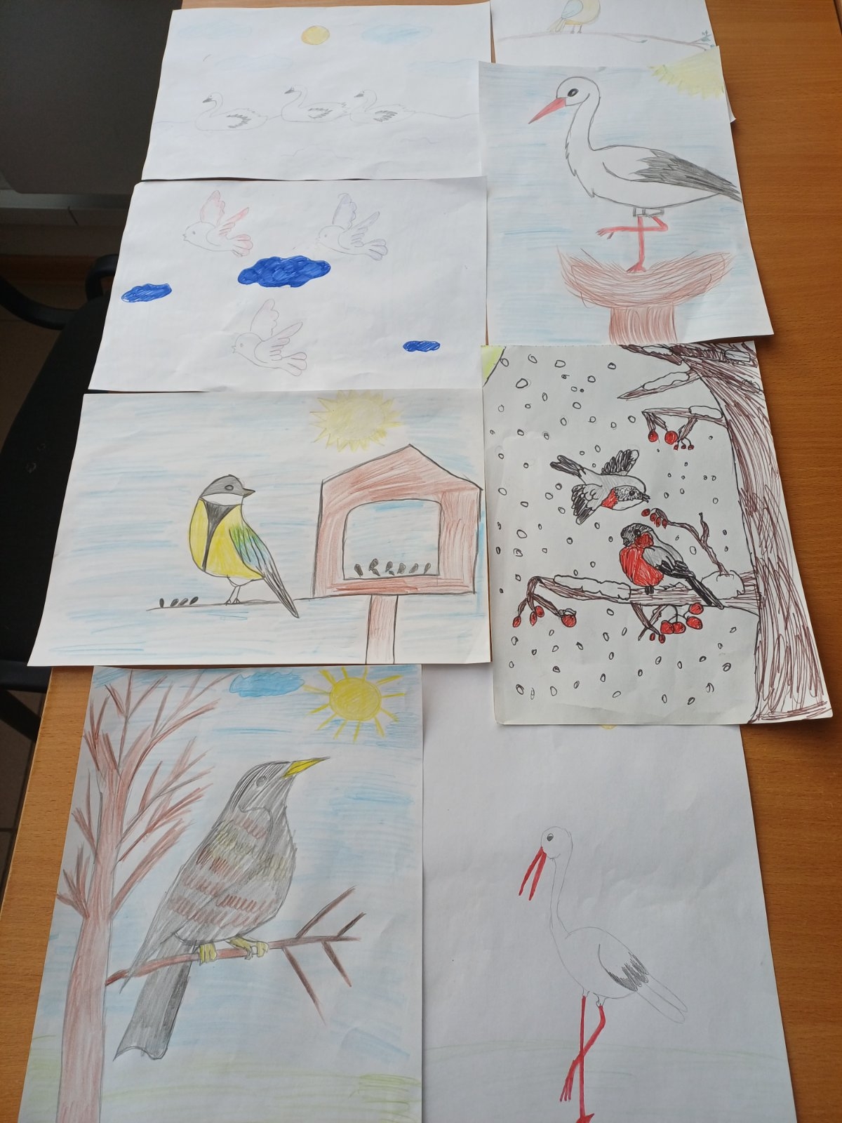 Малюнкі ўдзельнікаў