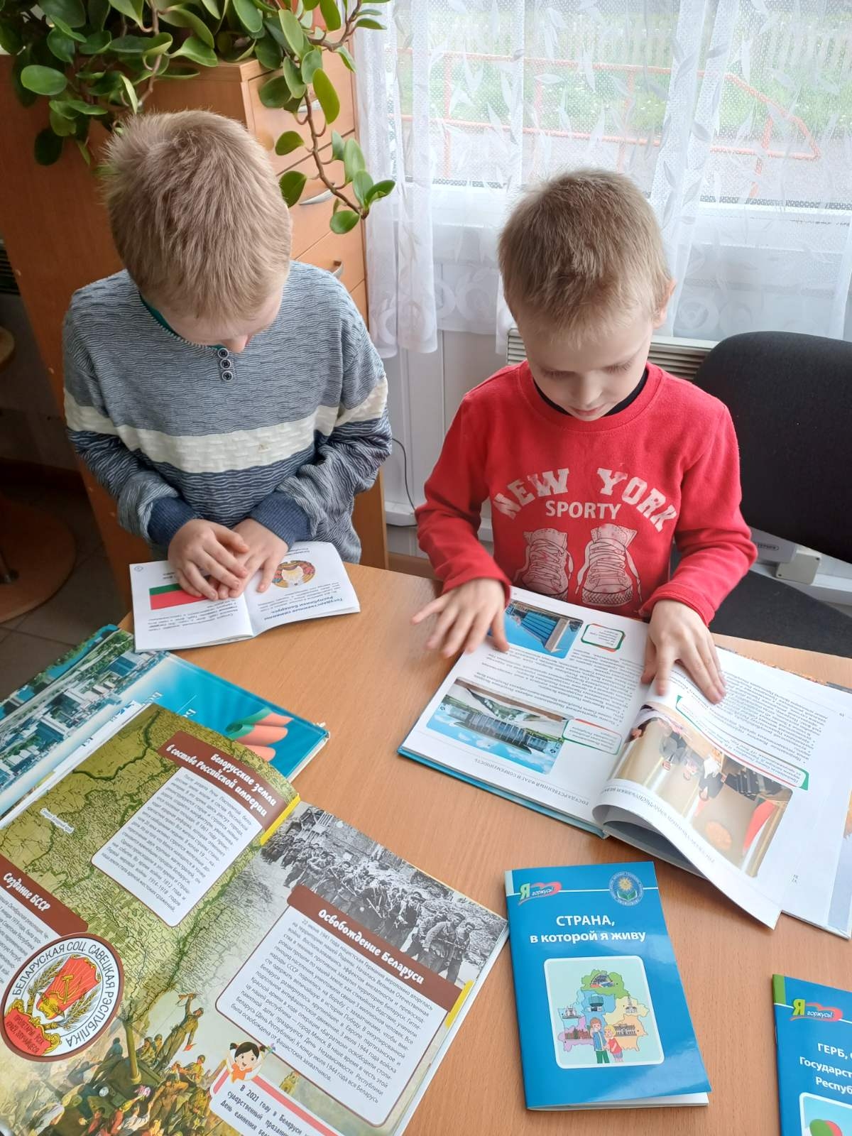 Изучение литературы