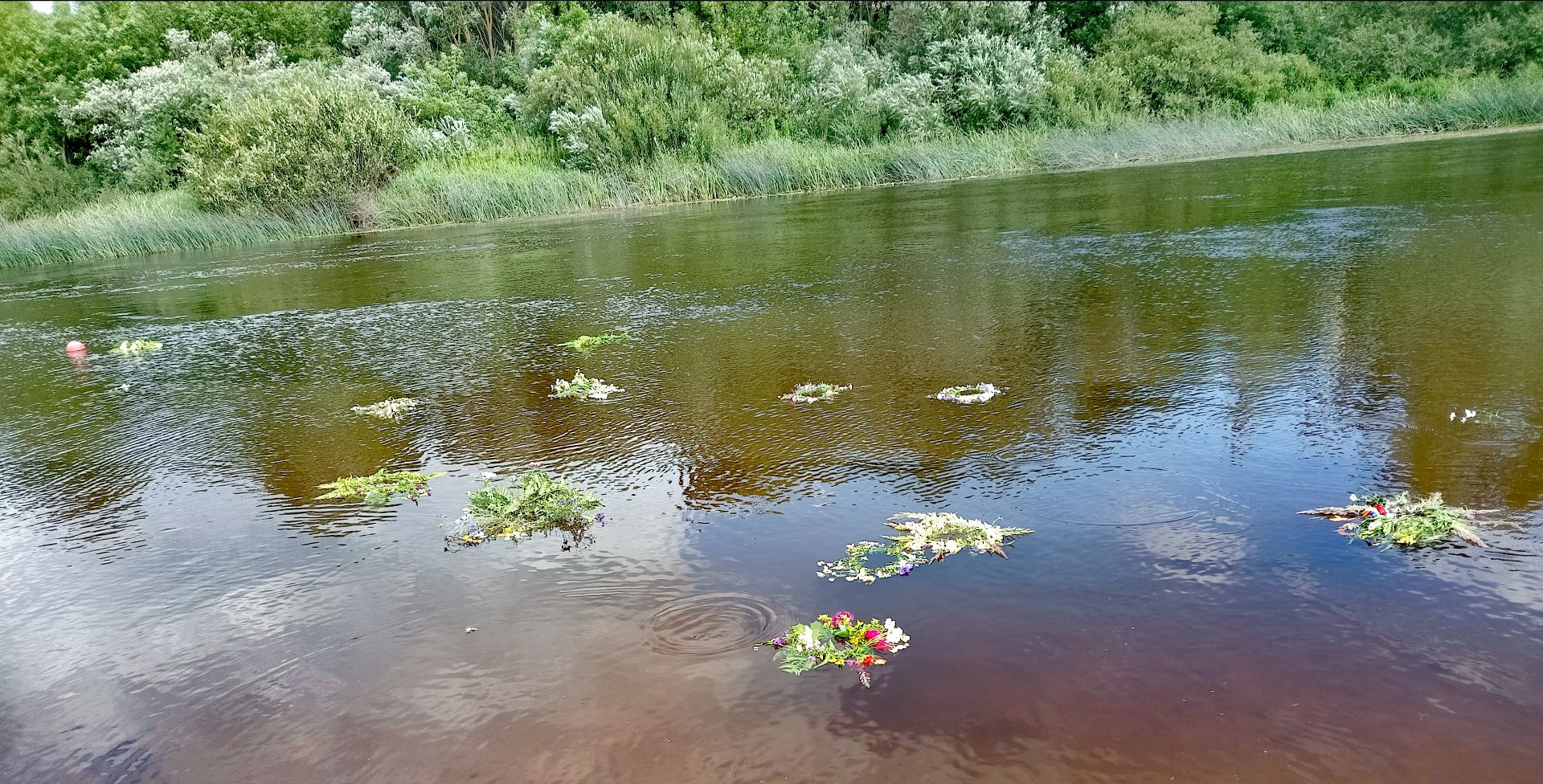 IMG 20260707 112508
