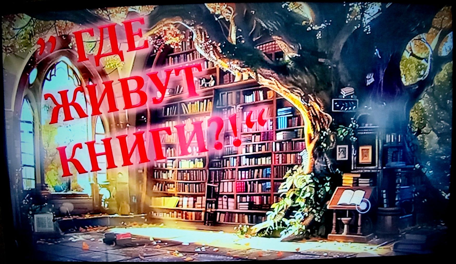 Где живут книги